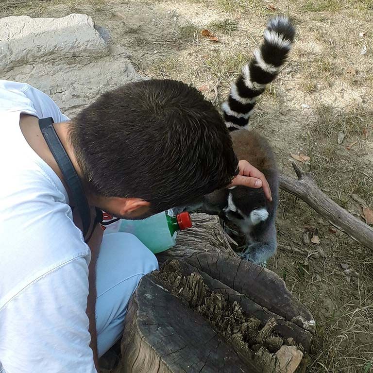 Igor Vračar Large Image